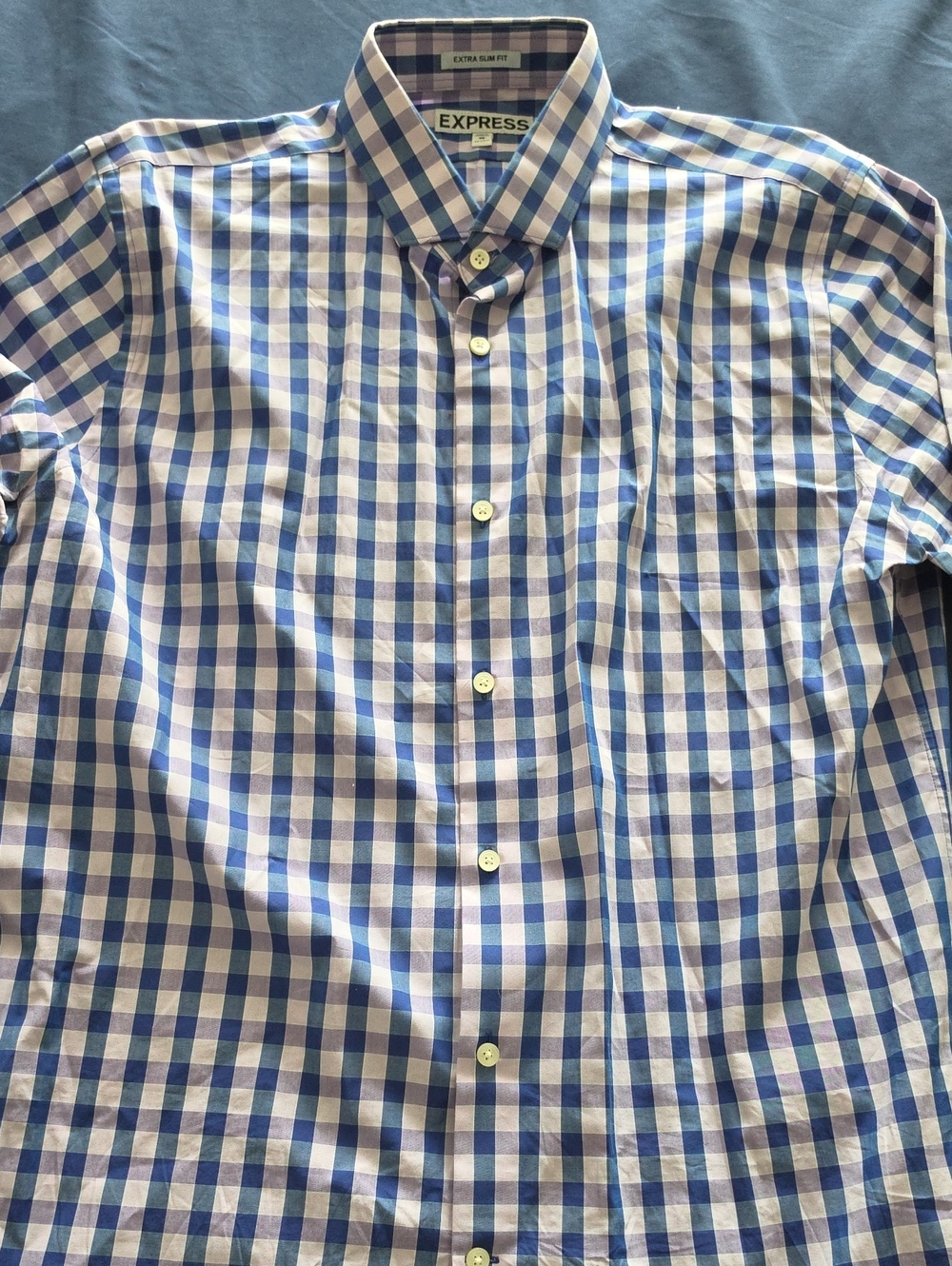 Express Men’s Long Sleeve Blue and White Gingham Button-Down Shirt